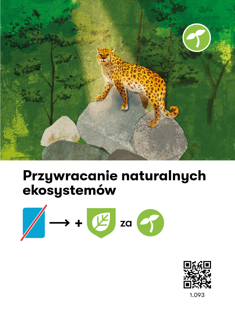 Card Rules Image