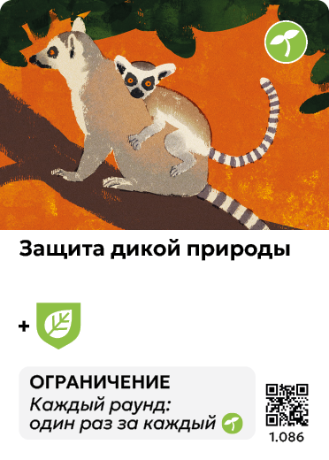 Card Rules Image