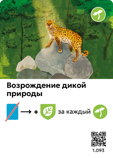 Card Rules Image