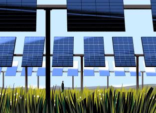 Solar Plants card artwork