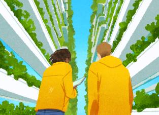 Vertical Farming card artwork